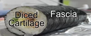 A sushi roll with labels "Diced Cartilage" on the rice and "Fascia" on the seaweed wrap.