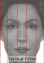 A grayscale image of a person's face overlaid with red vertical lines dividing the face into equal sections, labeled "Vertical Fifths" at the bottom.