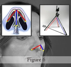 Diagram and close-up of a nose highlighting angles and structures, alongside a tripod model illustrating similar geometry.