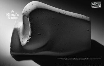 a kings nose - web article by dr hilinski